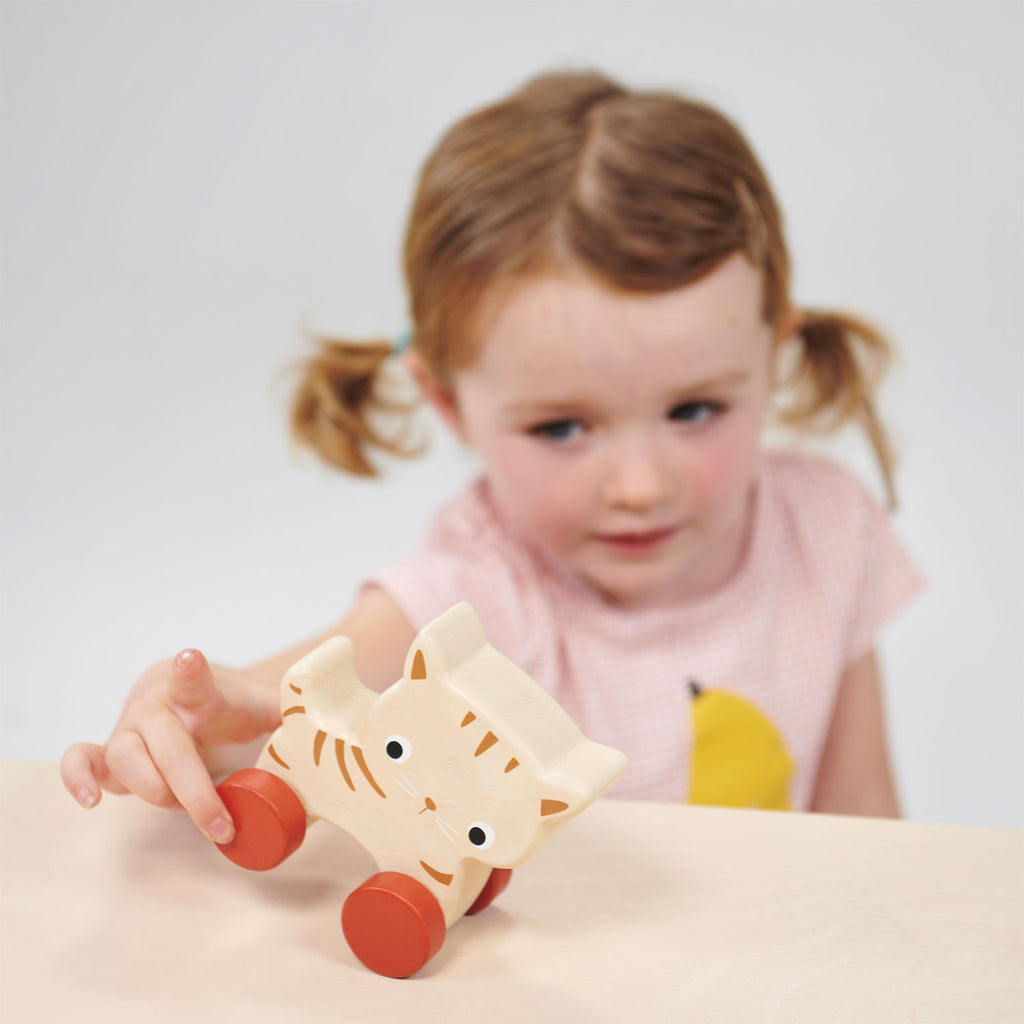 New Brand: Mentari Toys