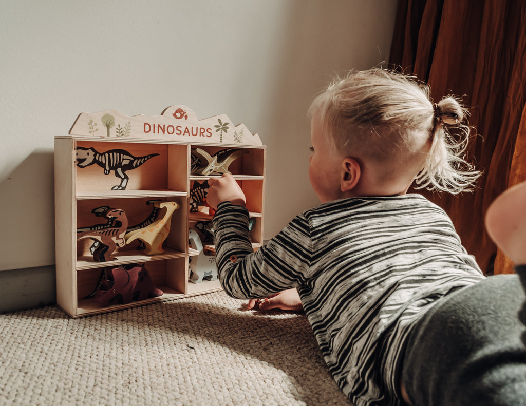 Tenderleaf wooden toys dinosaur animal and shelf set educational toy