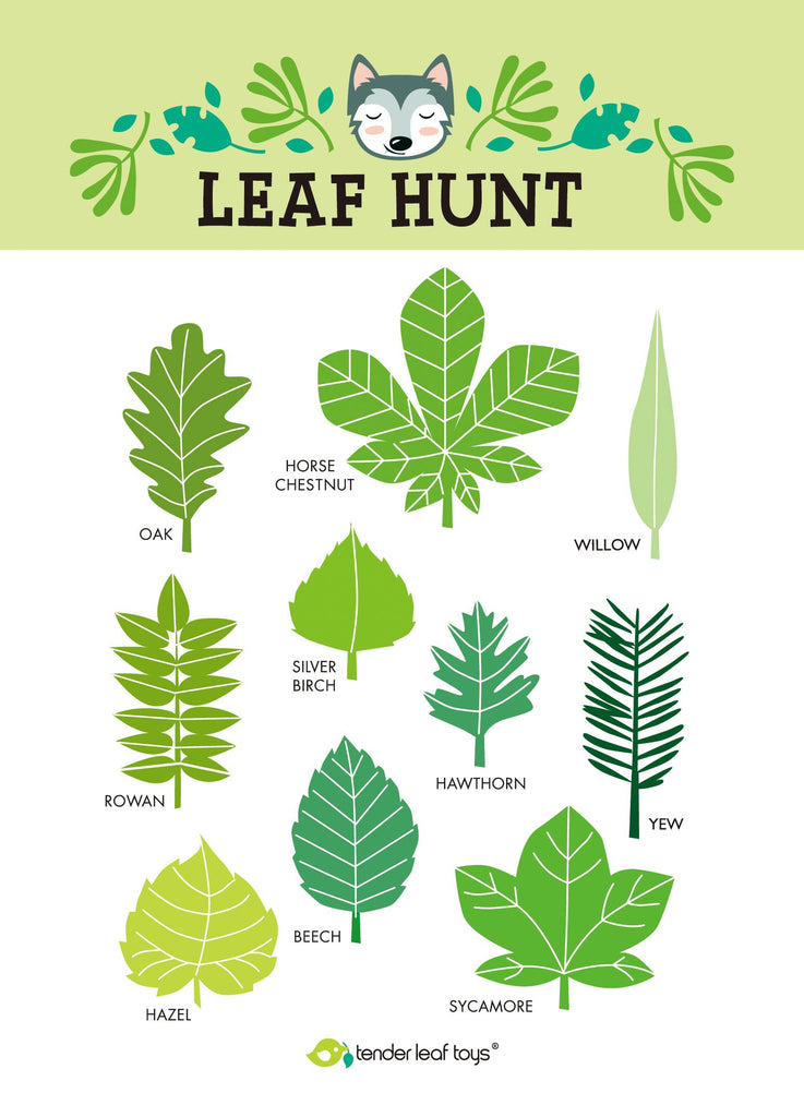 Tender Leaf Toys outdoors kit teaching our children to love the great outdoors