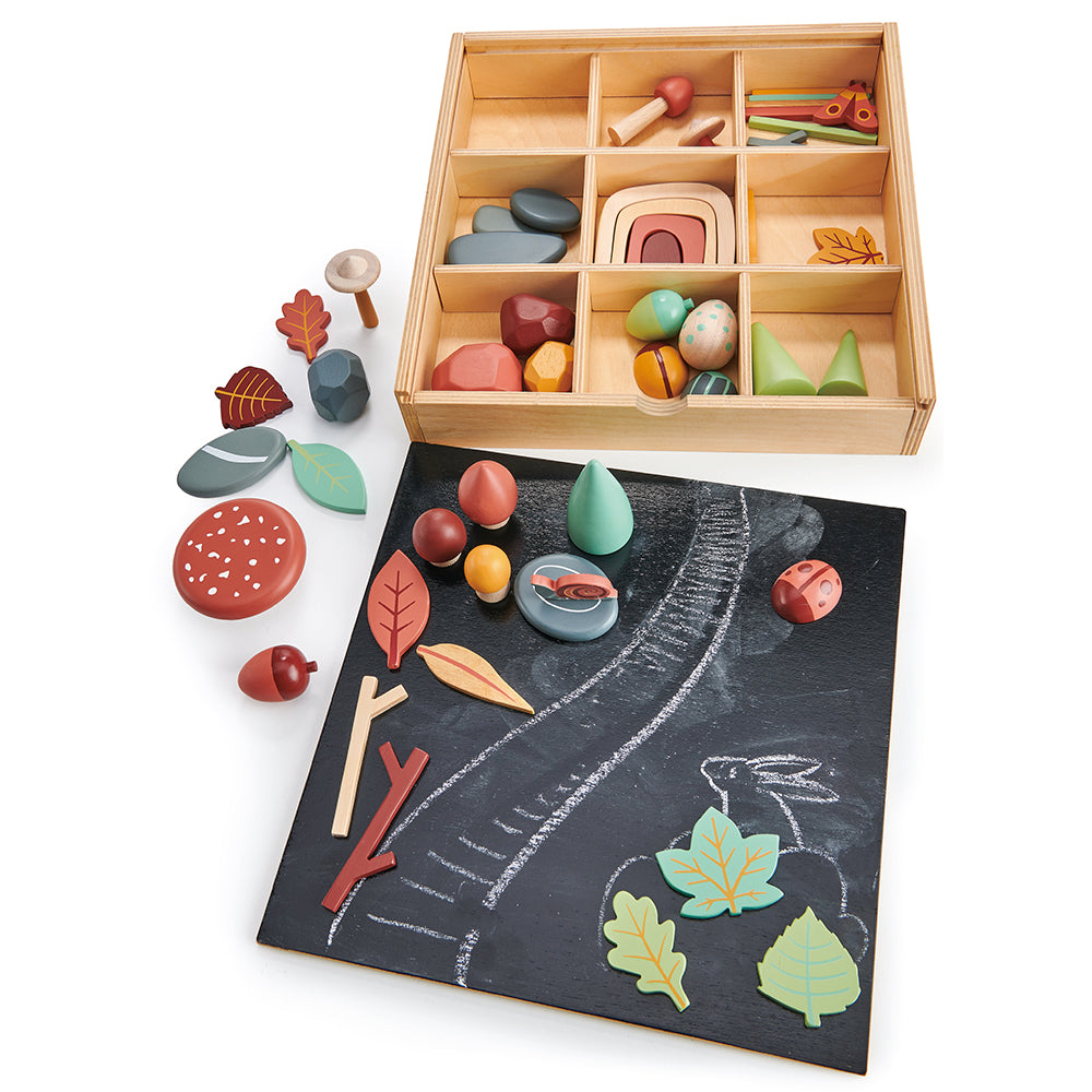 tender leaf wooden toy plastic free open ended play with items from the forest floor. comes with a box with compartments with lots of colourful and cool accessories including play pebbles, rainbow, stones, leaves, trees, bugs and insects for ultimate montessori play time. play with friends and pack away neatly in the nursery