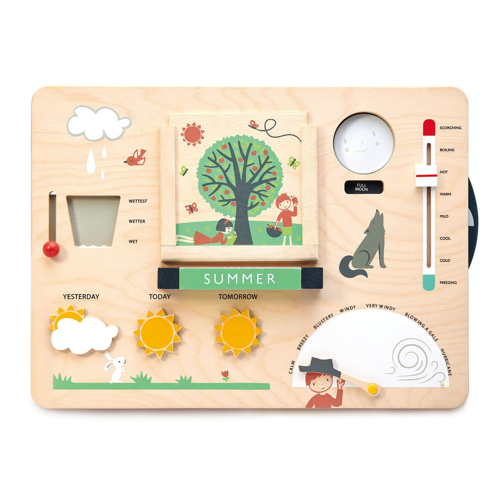 Tender Leaf Wooden toys educational weather game 