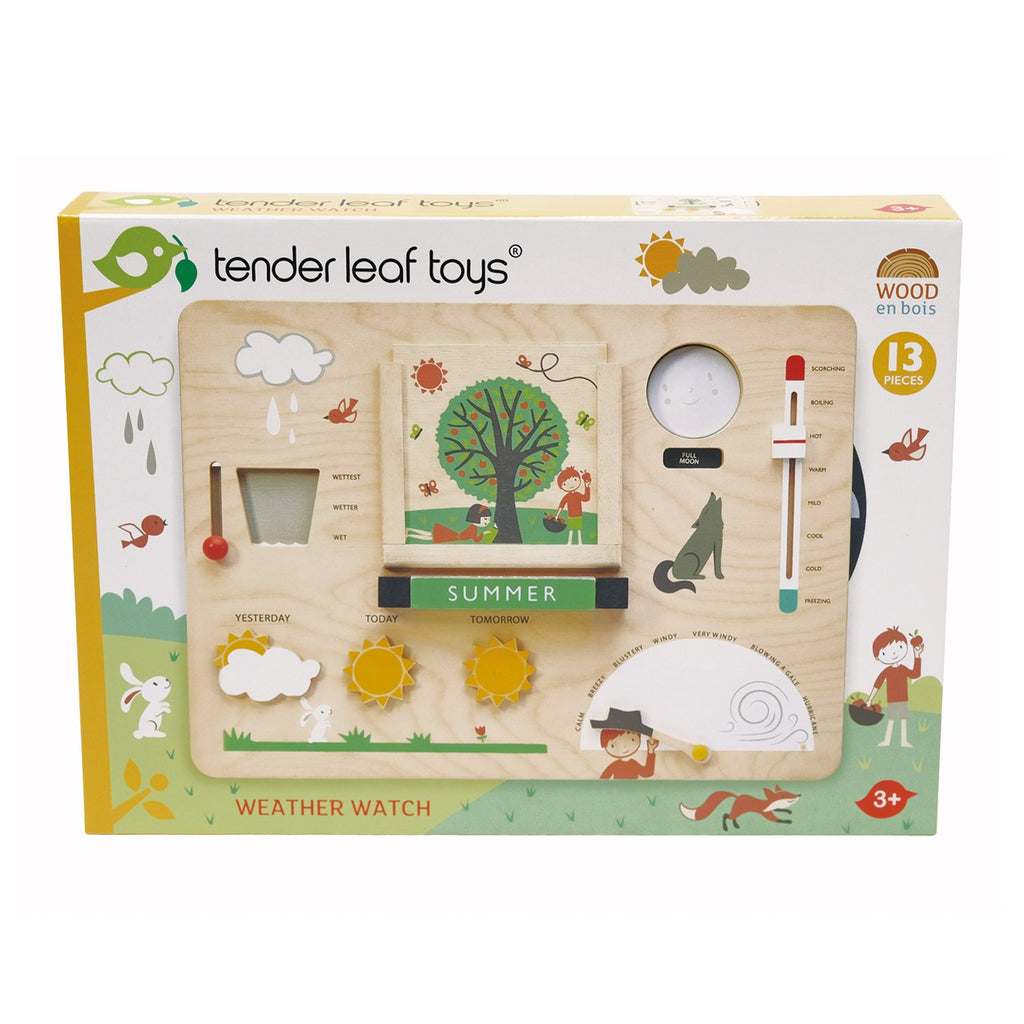 Tender Leaf Wooden toys educational weather game 