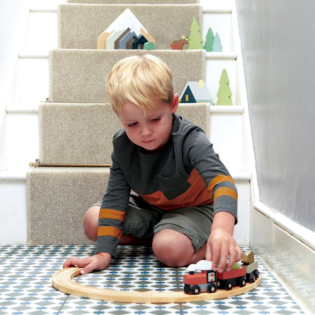 Tender Leaf Toys wooden train set with accessories